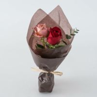 ニュアンスレッドカラーのバラ２本のミニブーケ