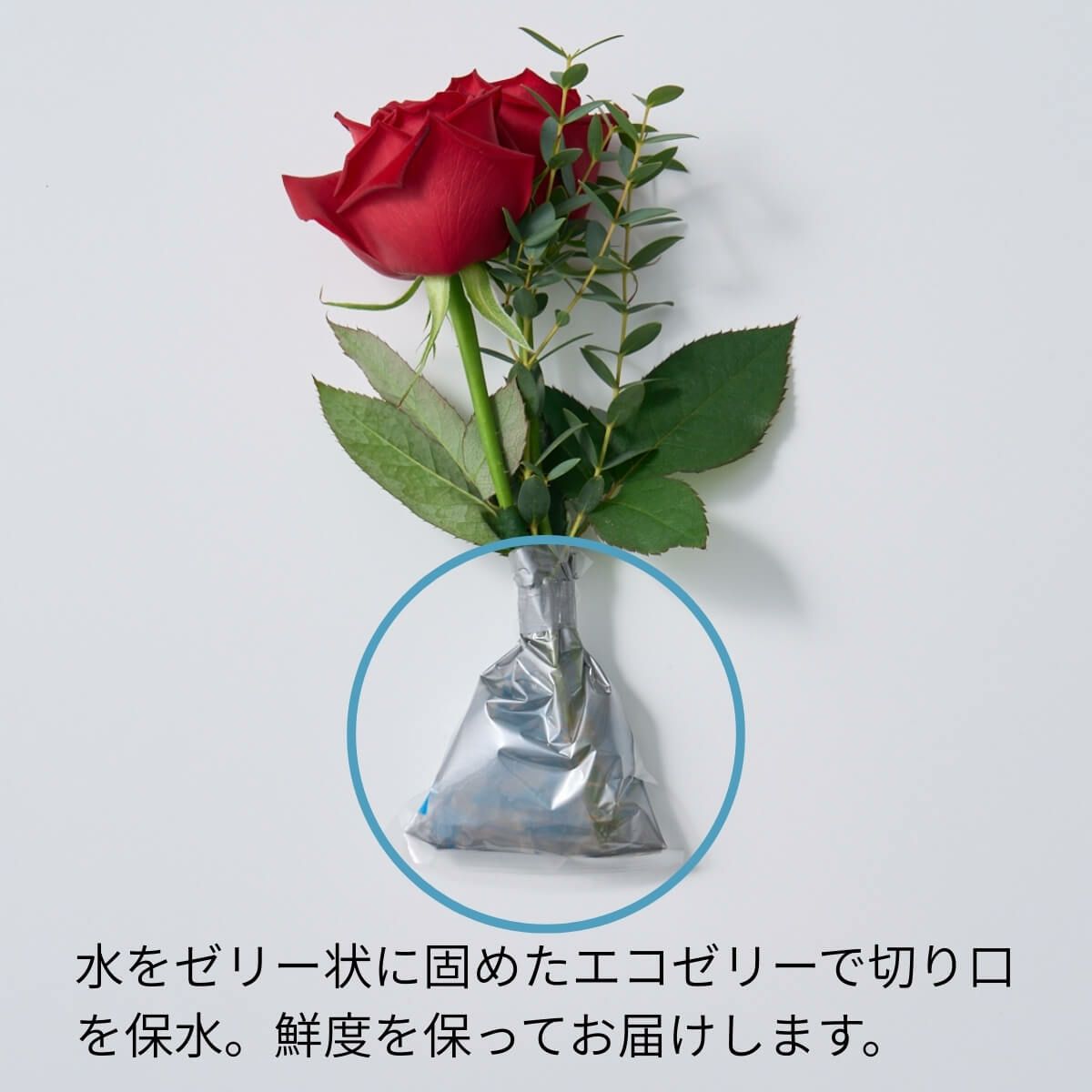 ホシファーム薔薇のミニブーケ２本＆ホシフルーツ贅沢ブラウニー３個入